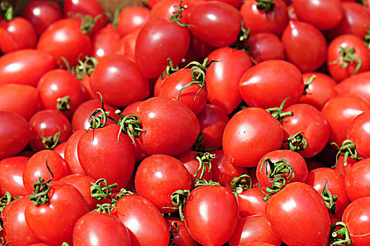 新鲜的西红柿