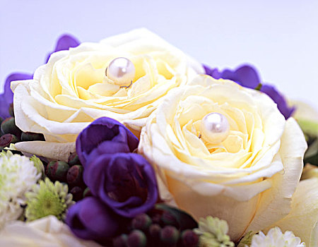 新娘手花,两个,白色,玫瑰,紫花
