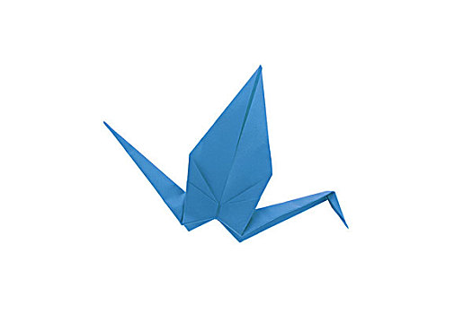 折纸,鸟