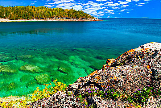 漂亮,景色,湖,清水,乔治亚湾,加拿大