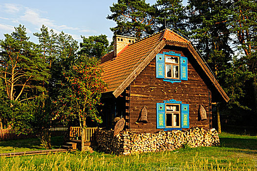 农场,波德拉谢省,波兰,欧洲
