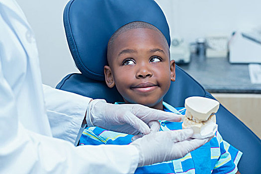 局部,牙医,展示,男孩,假肢,牙齿
