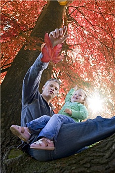 父亲,女儿,坐,树上,秋叶