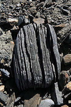 青海,可可西里,马兰冰川里夹杂的风化石头