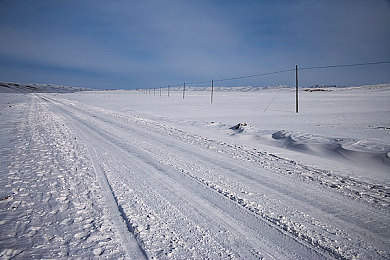 被雪覆盖图片