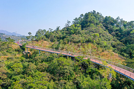 航拍广东珠海香山湖公园香山云道