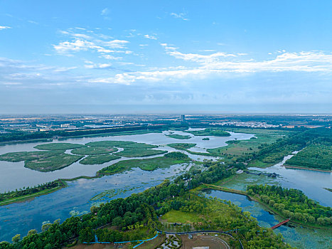 东海县西双湖风景区夏日湿地美