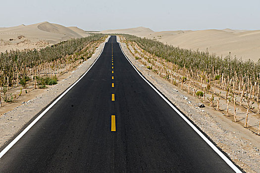 和阿沙漠公路