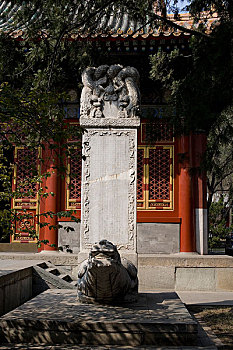 香山植物园卧佛寺内的石龟驼石碑