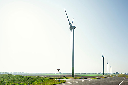 风电场,春天,早晨,多德雷赫特,荷兰