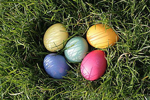 复活节,草地,复活节彩蛋,花园,草,绿色,星期日,隐藏处,传统,地点,鸡蛋,蛋,彩色,多彩,五个,隐藏
