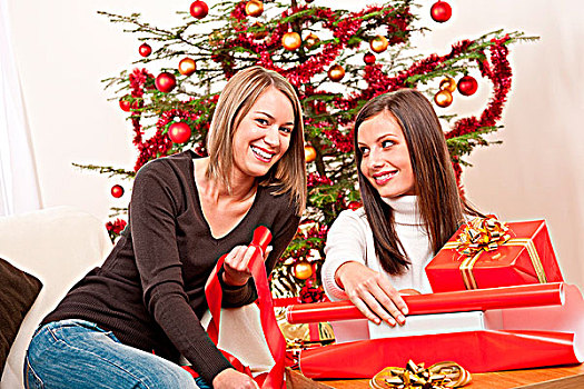 两个女人,包装,圣诞礼物,正面,树