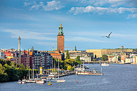 泊船,靠近,斯德哥尔摩,市政厅,瑞典