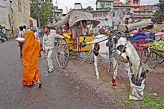 马车,市场,乌代浦尔,印度