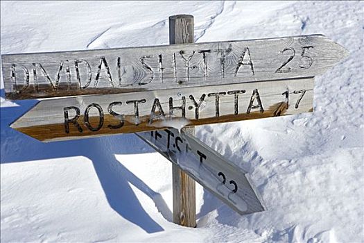 挪威,重,雪,高原,突显,夏天,走,小路,标识,展示,上面,残余物,掩埋,大雪