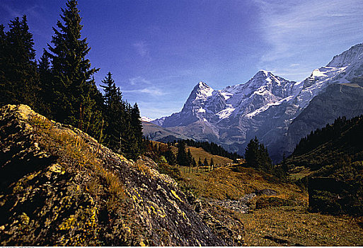 俯视,风景,山峦,少女峰,瑞士