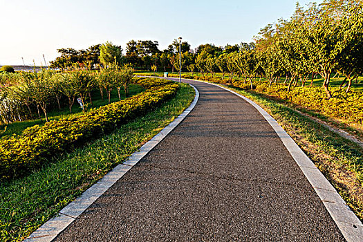 道路