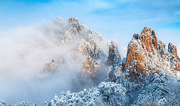 雪景