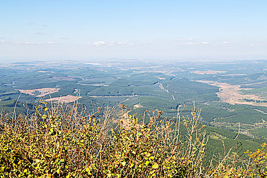 模糊,南非,布莱德河峡谷,植物,石头,水塘,水