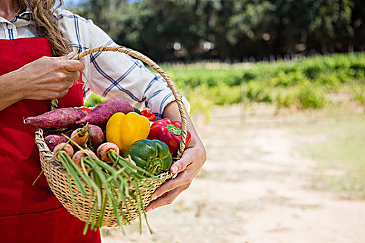 腰部,女人,拿着,篮子,新鲜,蔬菜,葡萄园