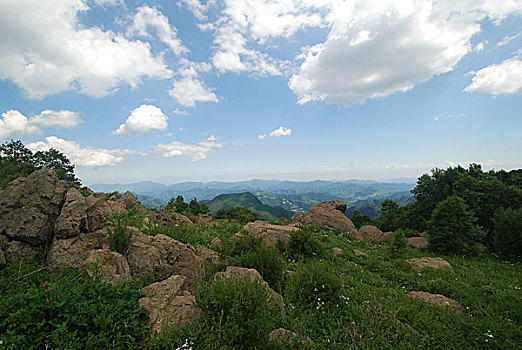 盛夏的百花山