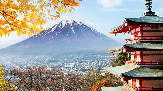 山,富士山,秋天,红枫,叶子,日本