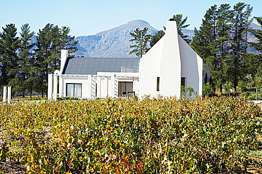 风景,建筑,葡萄酒,南非