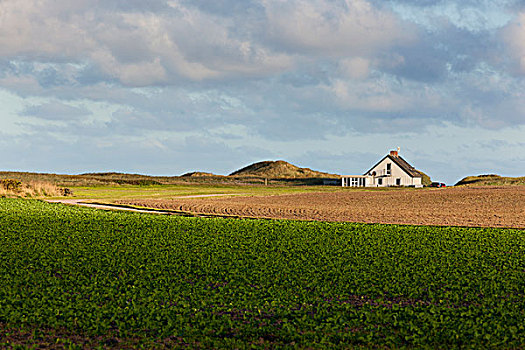 农舍,日德兰半岛,丹麦