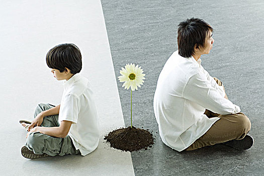 男孩,男人,坐,背对背,一朵花