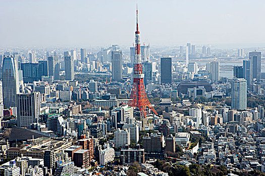 城市,山,东京,日本