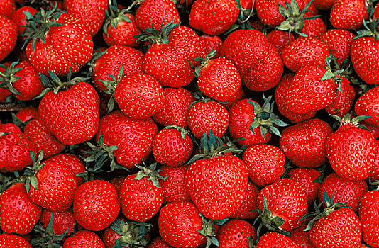 草莓,全画幅