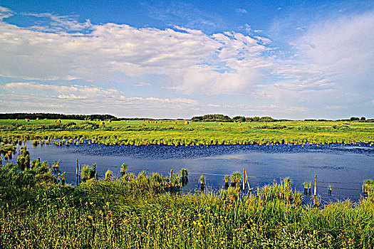 草原,景色,靠近,曼尼托巴,加拿大