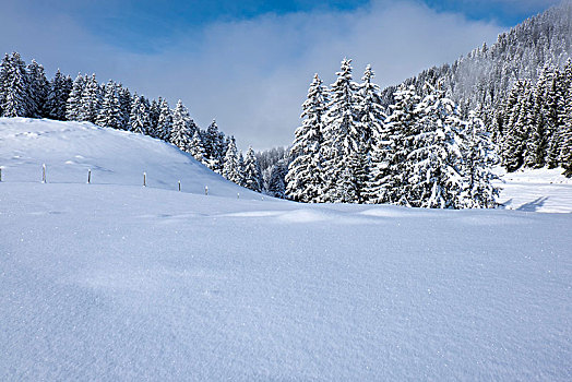冬日奇景,吐根堡,瑞士