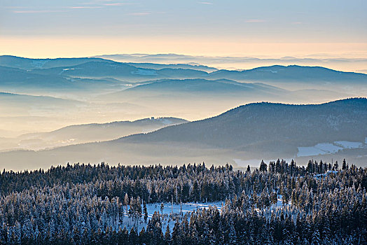雾,山谷,风景,雪中,自然保护区,巴伐利亚森林,下巴伐利亚,巴伐利亚,德国,欧洲