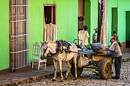 男人,马拉,手推车,正面,绿色,建筑,特立尼达,古巴