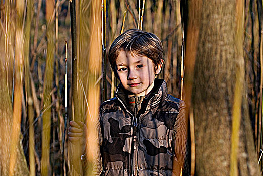肖像,小男孩,树林