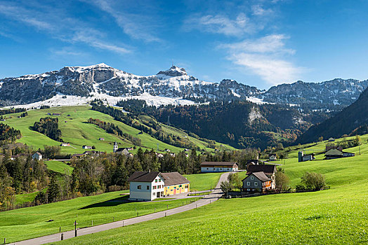 绿色,草场,阿本泽伦兰德,正面,雪冠,阿彭策尔,阿尔卑斯山,瑞士,欧洲