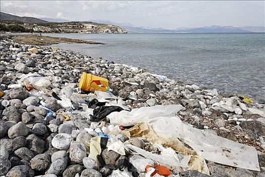 污染,海滩,海湾,东方,克里特岛,希腊