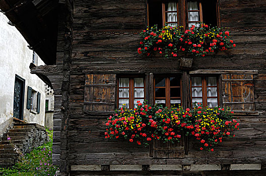 特色,房子,提契诺河,瑞士