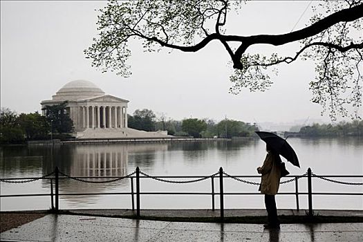 游客,看,纪念,杰佛逊纪念馆,华盛顿特区,美国