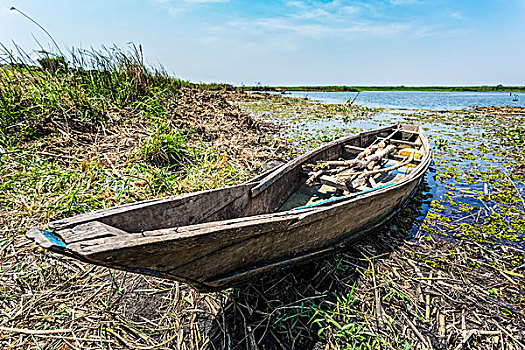 破旧,木船,岸边,湖,乌干达
