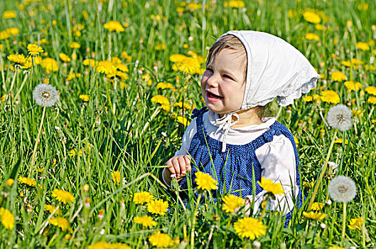 微笑,女孩,9个月,草地,黄色,蒲公英,德累斯顿,德国