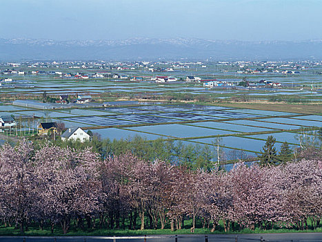 春天,乡村风光