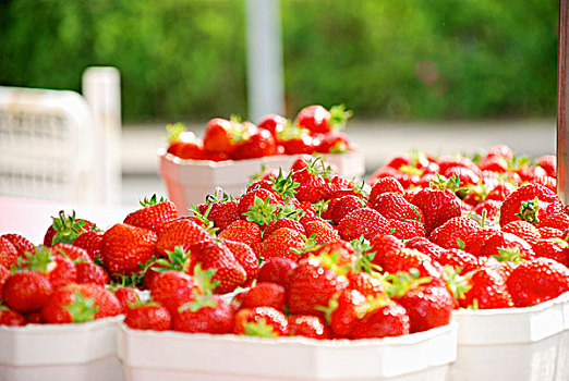 草莓,纸板箱