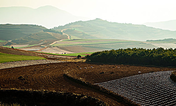 田地