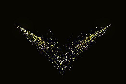 金色粒子,抽象飞翔翅膀背景