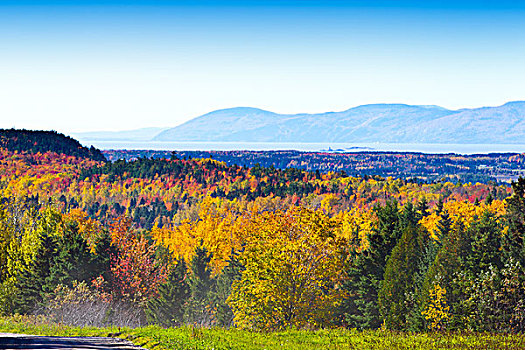 秋叶,魁北克,加拿大