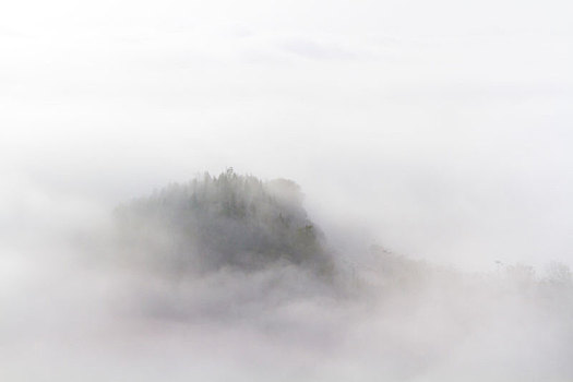雾景