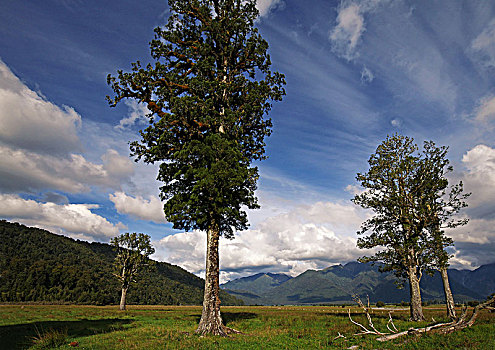 马瑟森湖lake,matheson