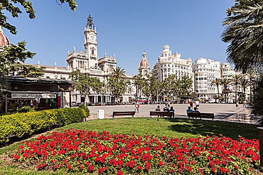 广场,红花,瓦伦西亚,西班牙